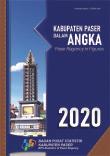 Kabupaten Paser Dalam Angka 2020